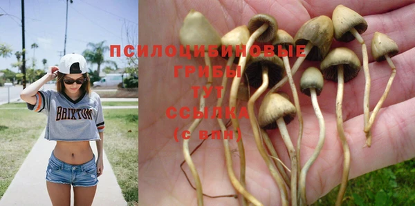 трава Балабаново